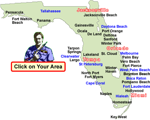 termite.com > Florida > Pest Control > Termites