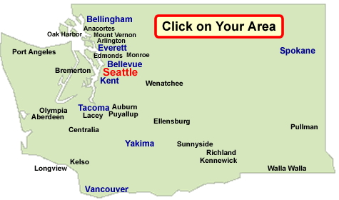 Termites + Termite Control + Pest Control in Washington