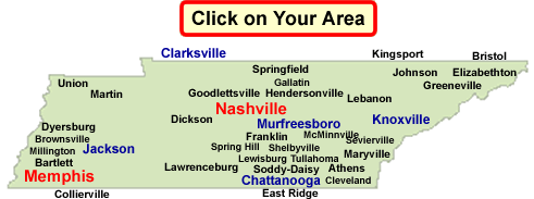 termite.com > Tennessee > Pest Control > Termites