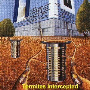 EXTERRA Interception of Termites
