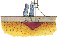 Treat cracks, expansion joints